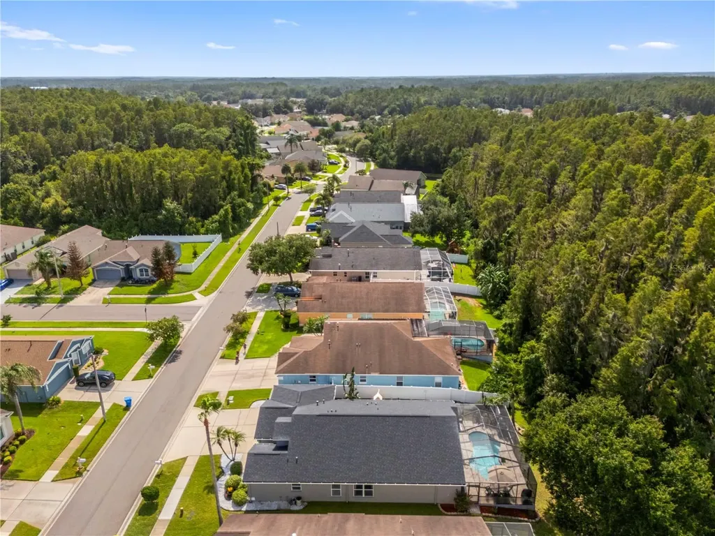 30923 Iverson Drive Wesley Chapel FL 33543