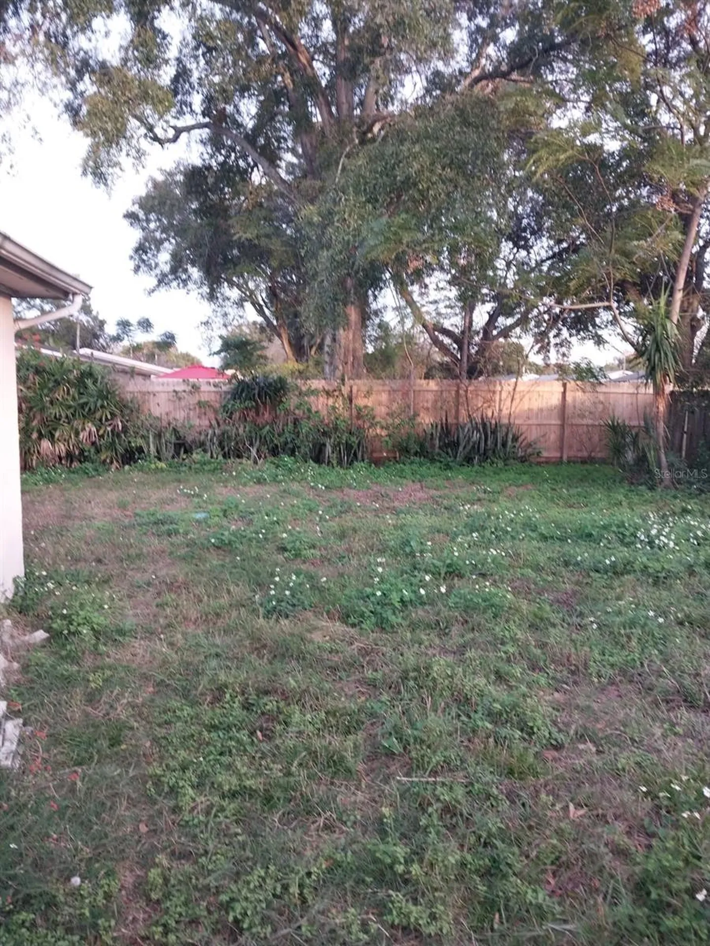 5032 Valimor Drive Holiday FL 34690