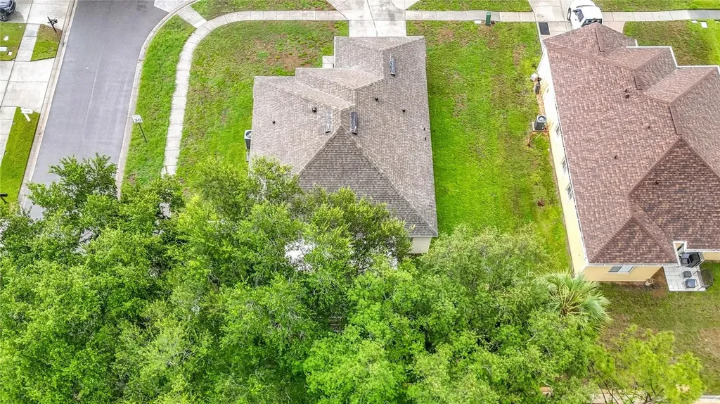 1129 Conch Court Wesley Chapel FL 33544
