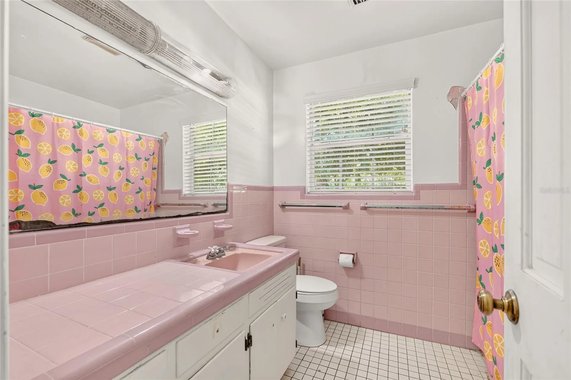 223 NW 7th Street Williston FL 32696