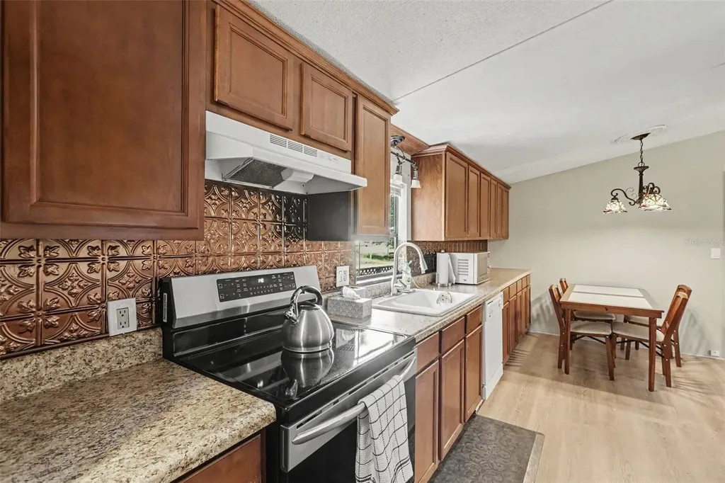 10239 Lyons Avenue Lithia FL 33547