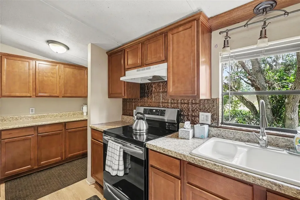 10239 Lyons Avenue Lithia FL 33547
