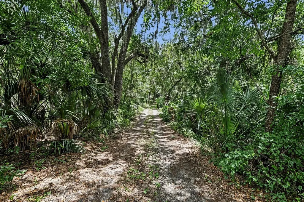 10239 Lyons Avenue Lithia FL 33547
