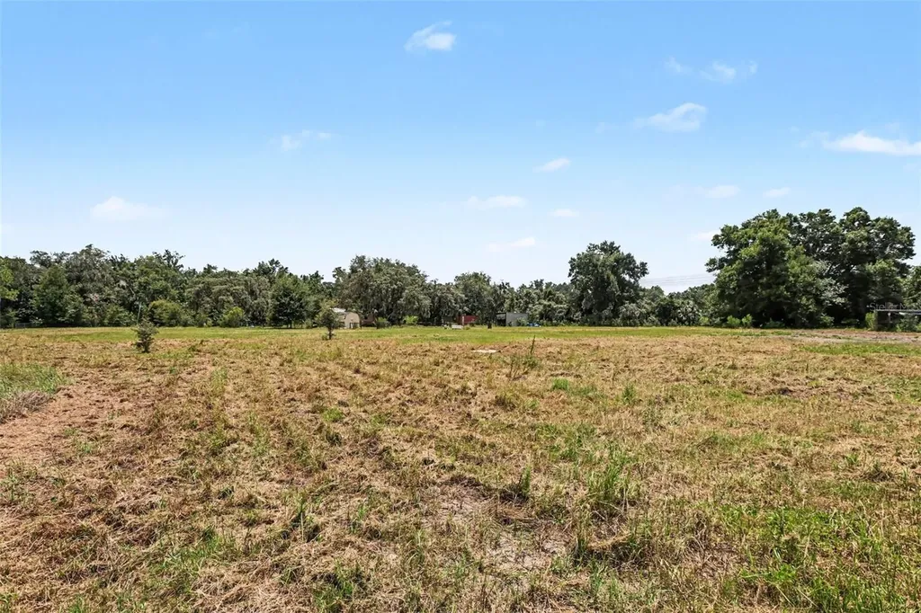 10239 Lyons Avenue Lithia FL 33547