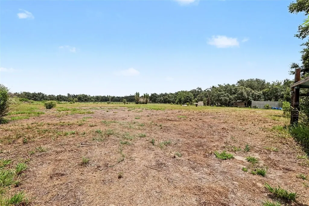 10239 Lyons Avenue Lithia FL 33547