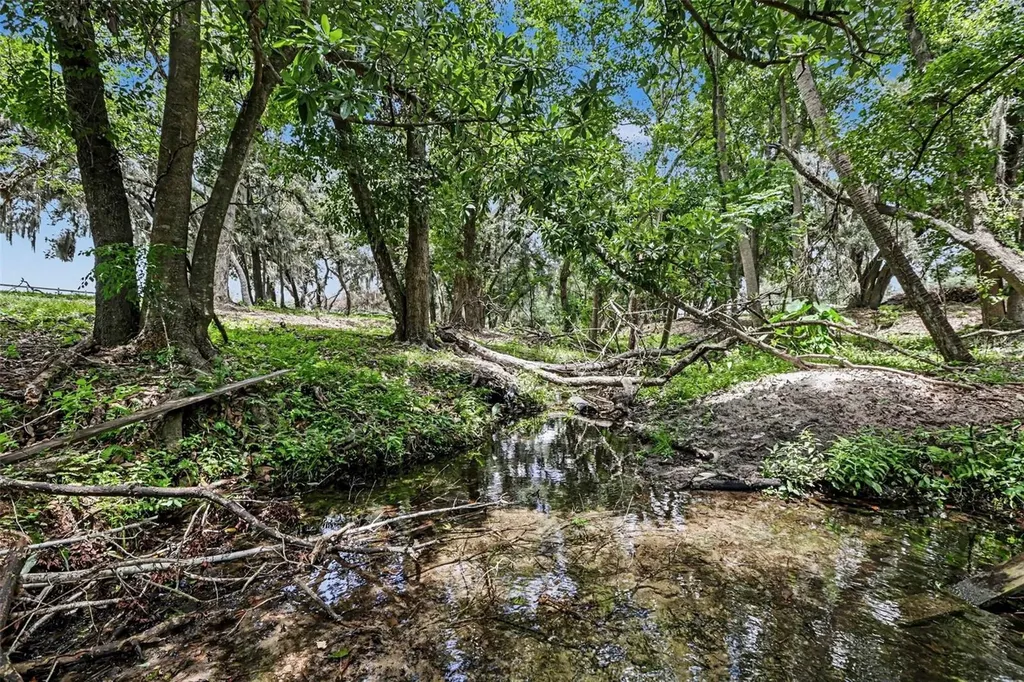 10239 Lyons Avenue Lithia FL 33547