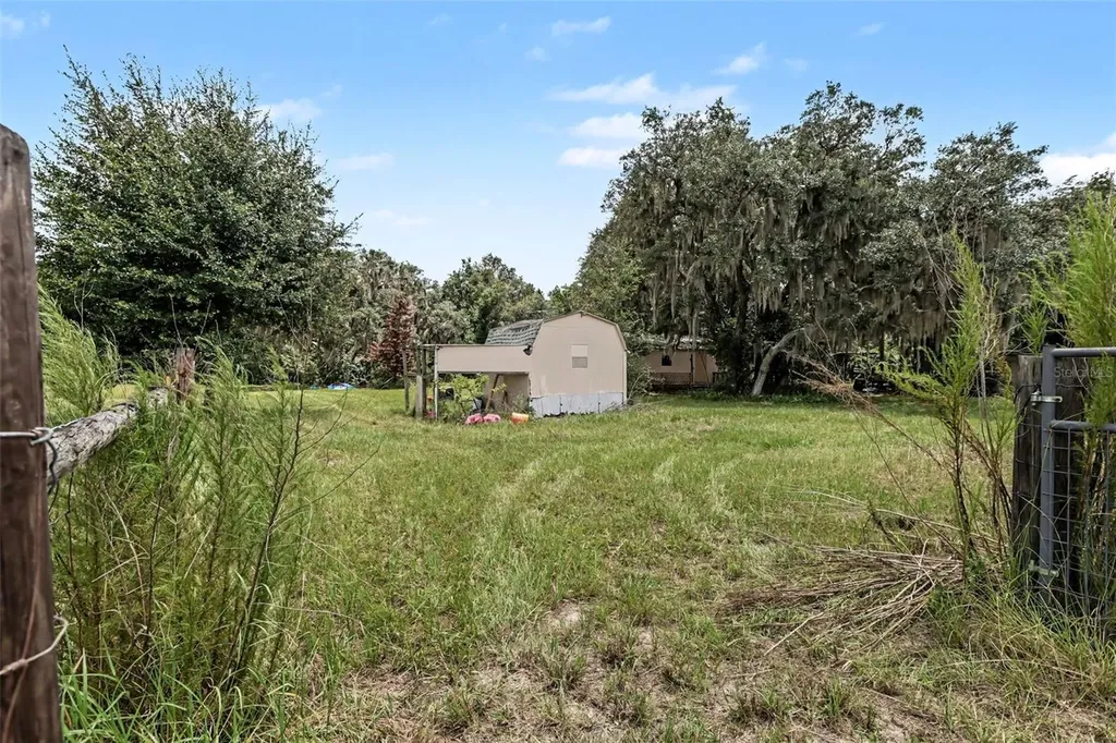 10239 Lyons Avenue Lithia FL 33547