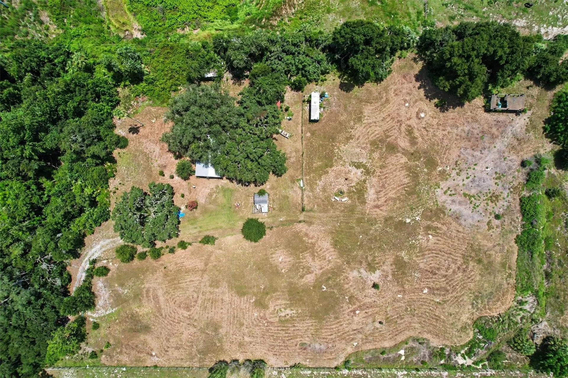10239 Lyons Avenue Lithia FL 33547