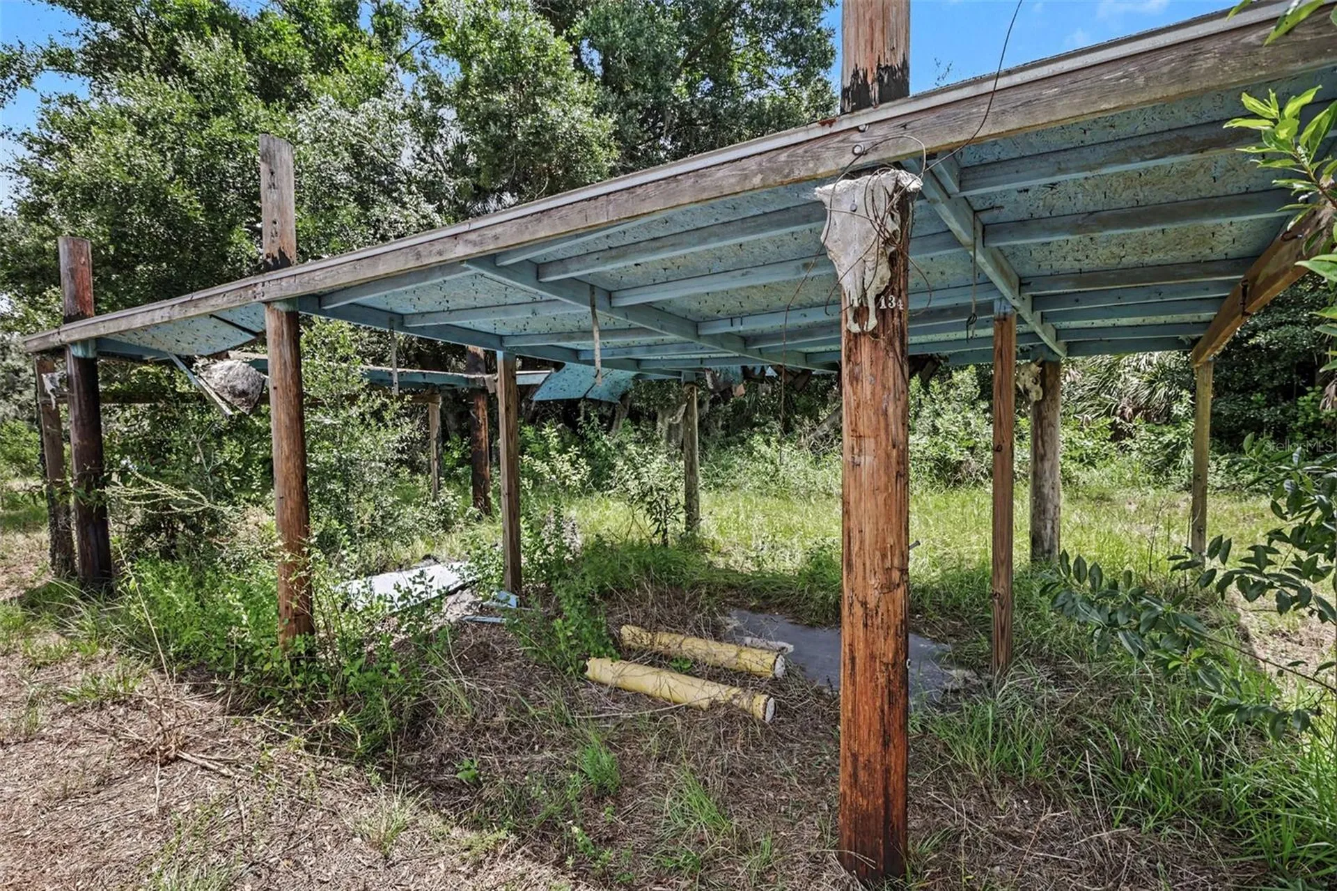 10239 Lyons Avenue Lithia FL 33547