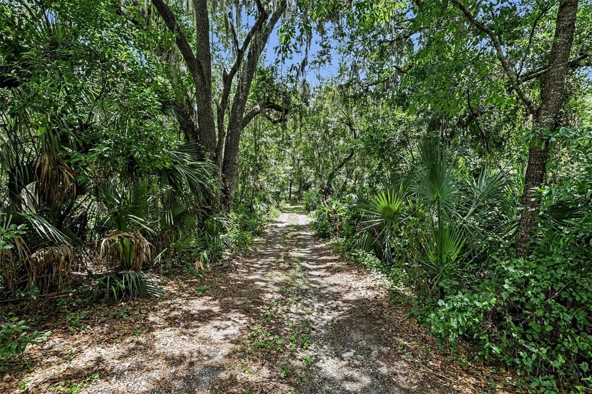 10239 Lyons Avenue Lithia FL 33547