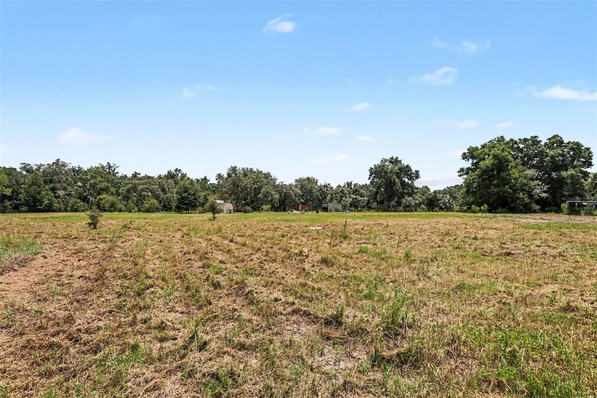 10239 Lyons Avenue Lithia FL 33547