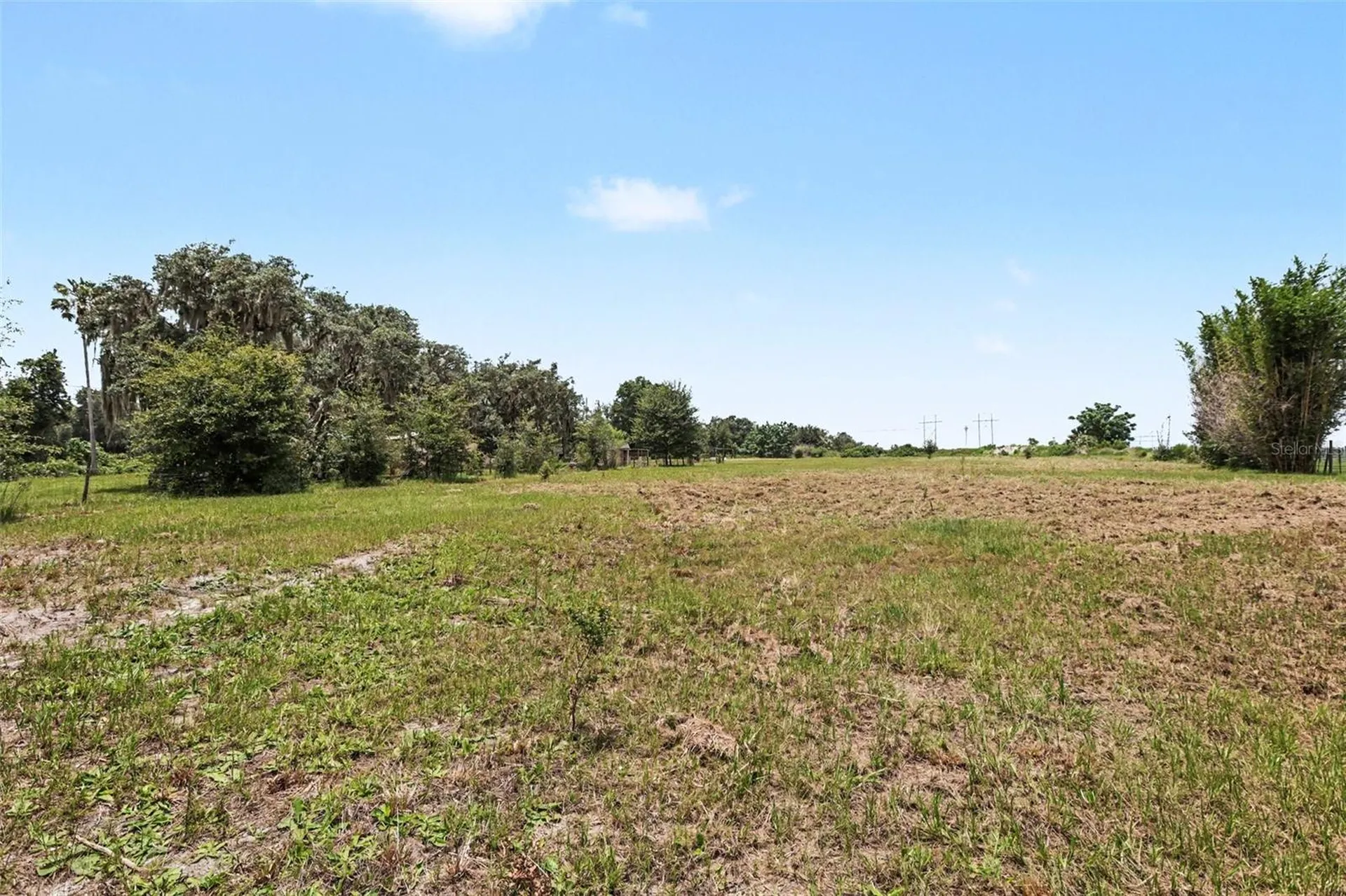 10239 Lyons Avenue Lithia FL 33547