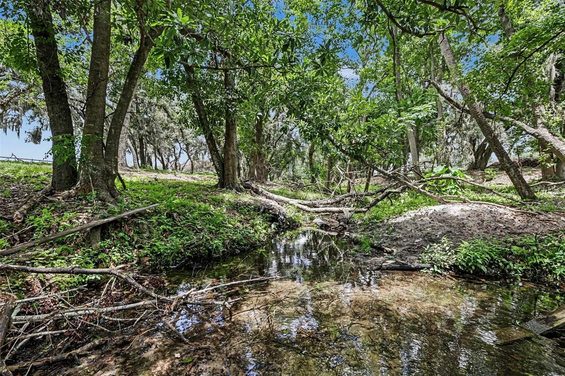 10239 Lyons Avenue Lithia FL 33547