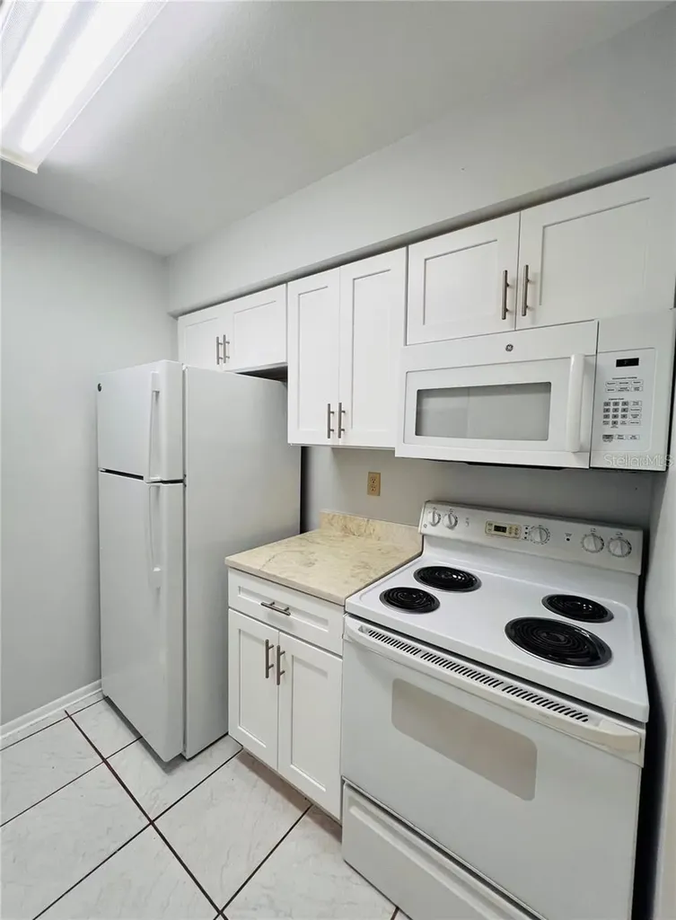 4013 Dream Oak Place Tampa FL 33613