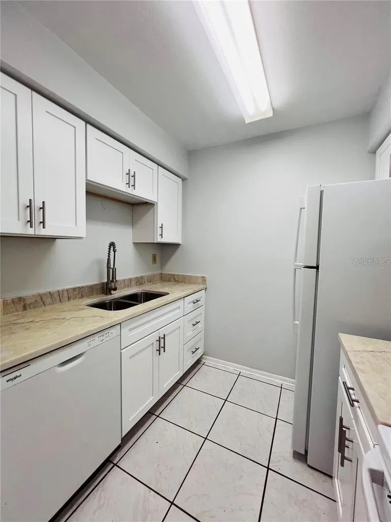 4013 Dream Oak Place Tampa FL 33613