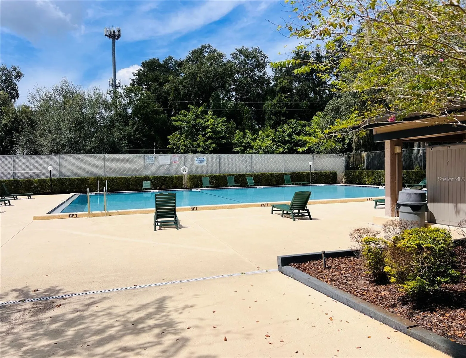 4013 Dream Oak Place Tampa FL 33613