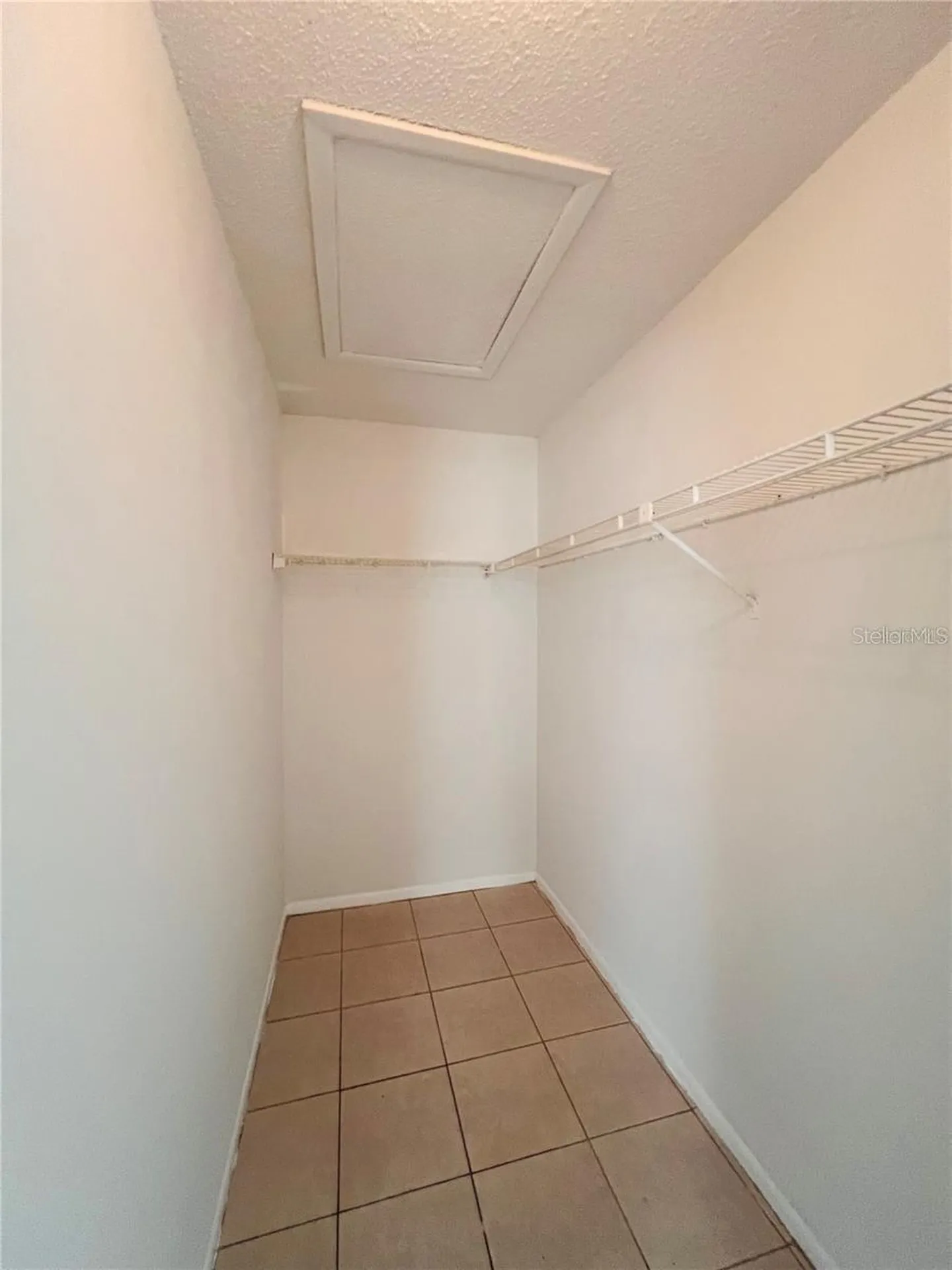 4013 Dream Oak Place Tampa FL 33613