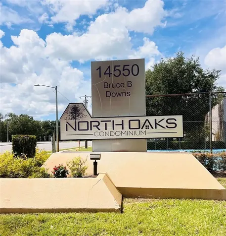 4013 Dream Oak Place Tampa FL 33613