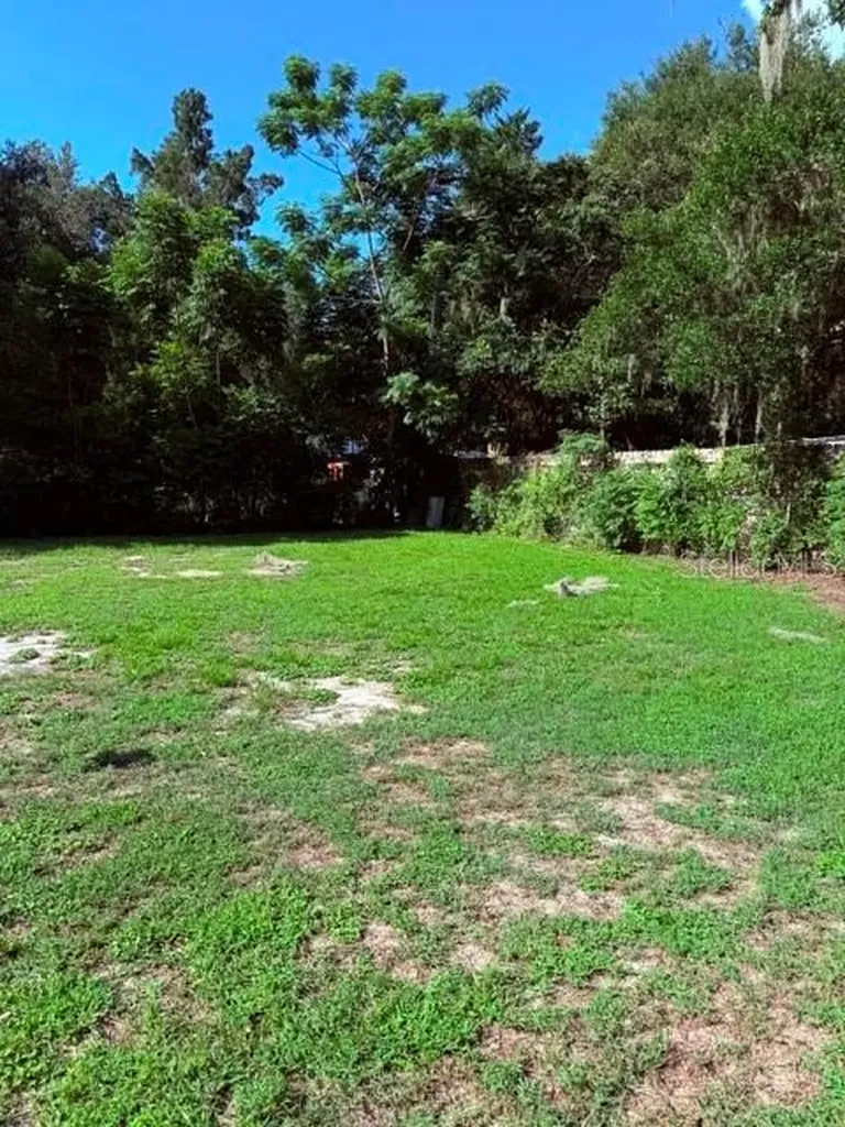 2312 Butler Street Leesburg FL 34748