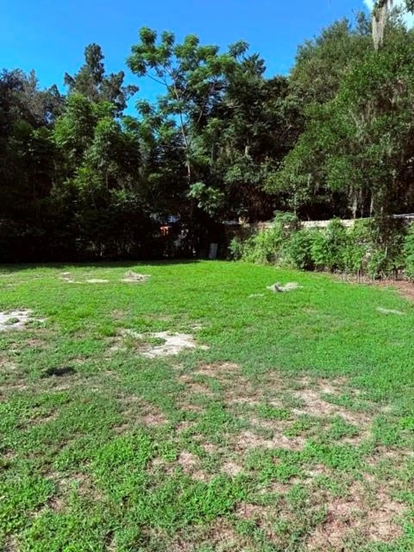 2312 Butler Street Leesburg FL 34748
