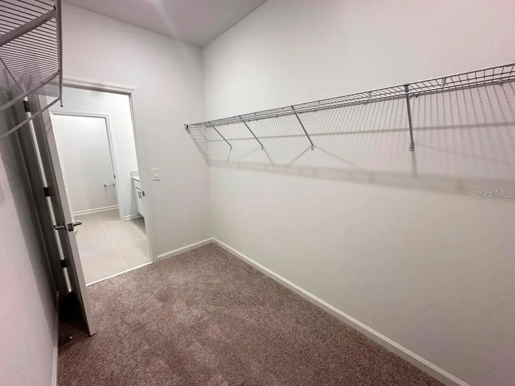 6099 Wellbeing Way Clermont FL 34714