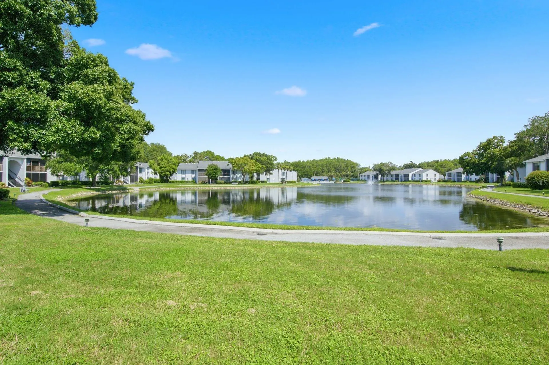 1179 Pine Ridge Circle W Tarpon Springs FL 34688