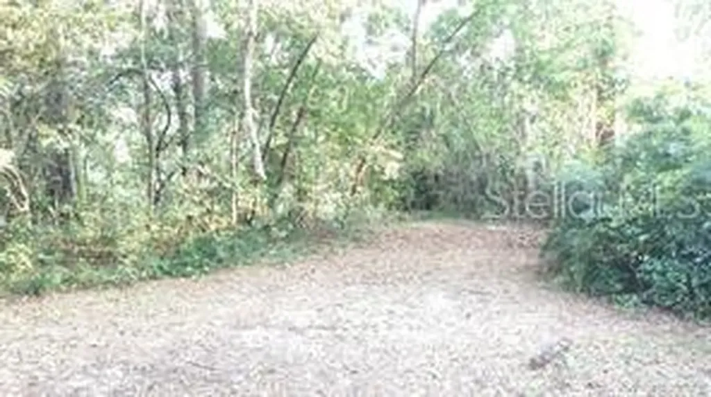 3214 Dian Road Tallahassee FL 32304