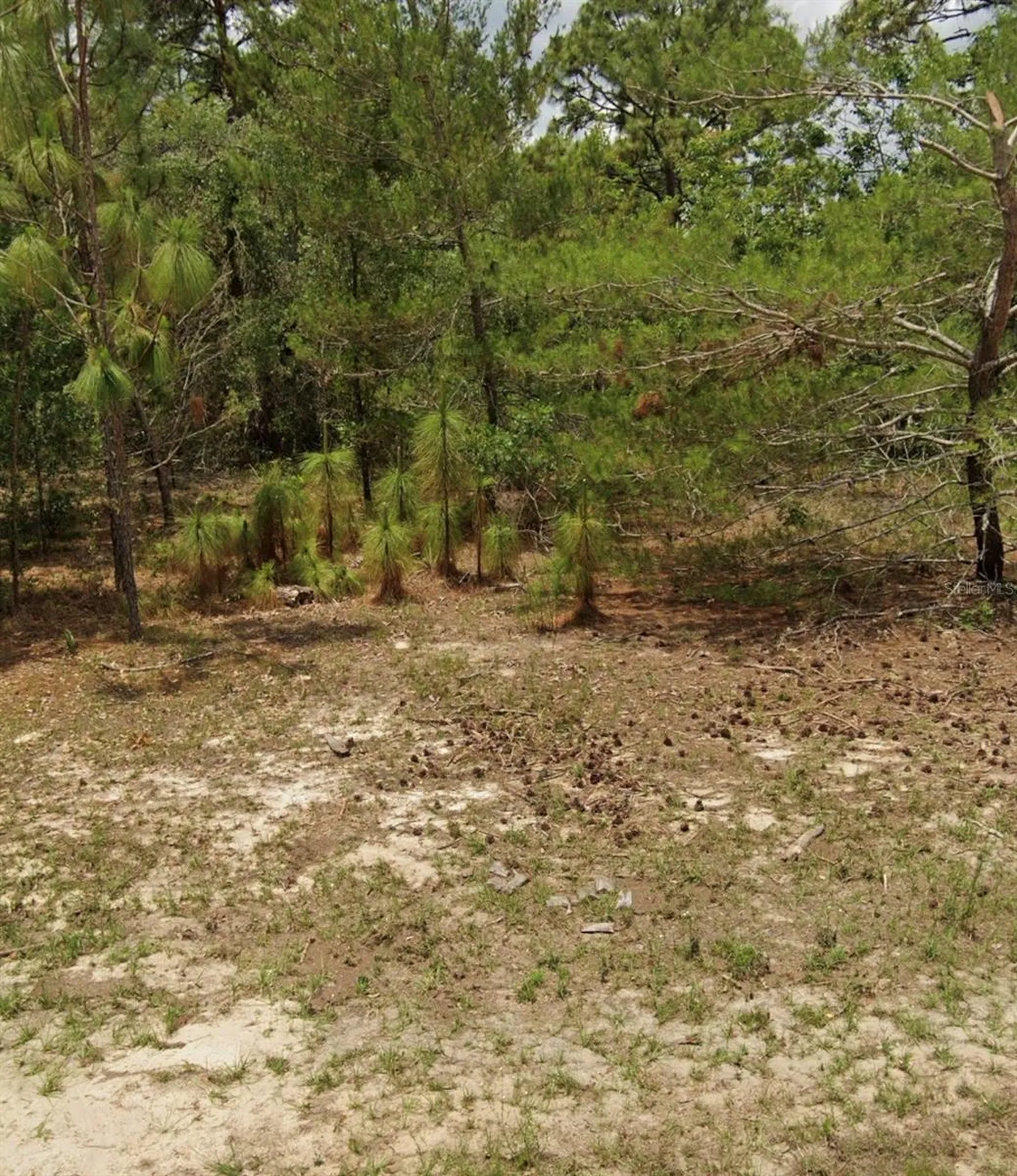 14214 SW 60th Terrace Ocala FL 34473