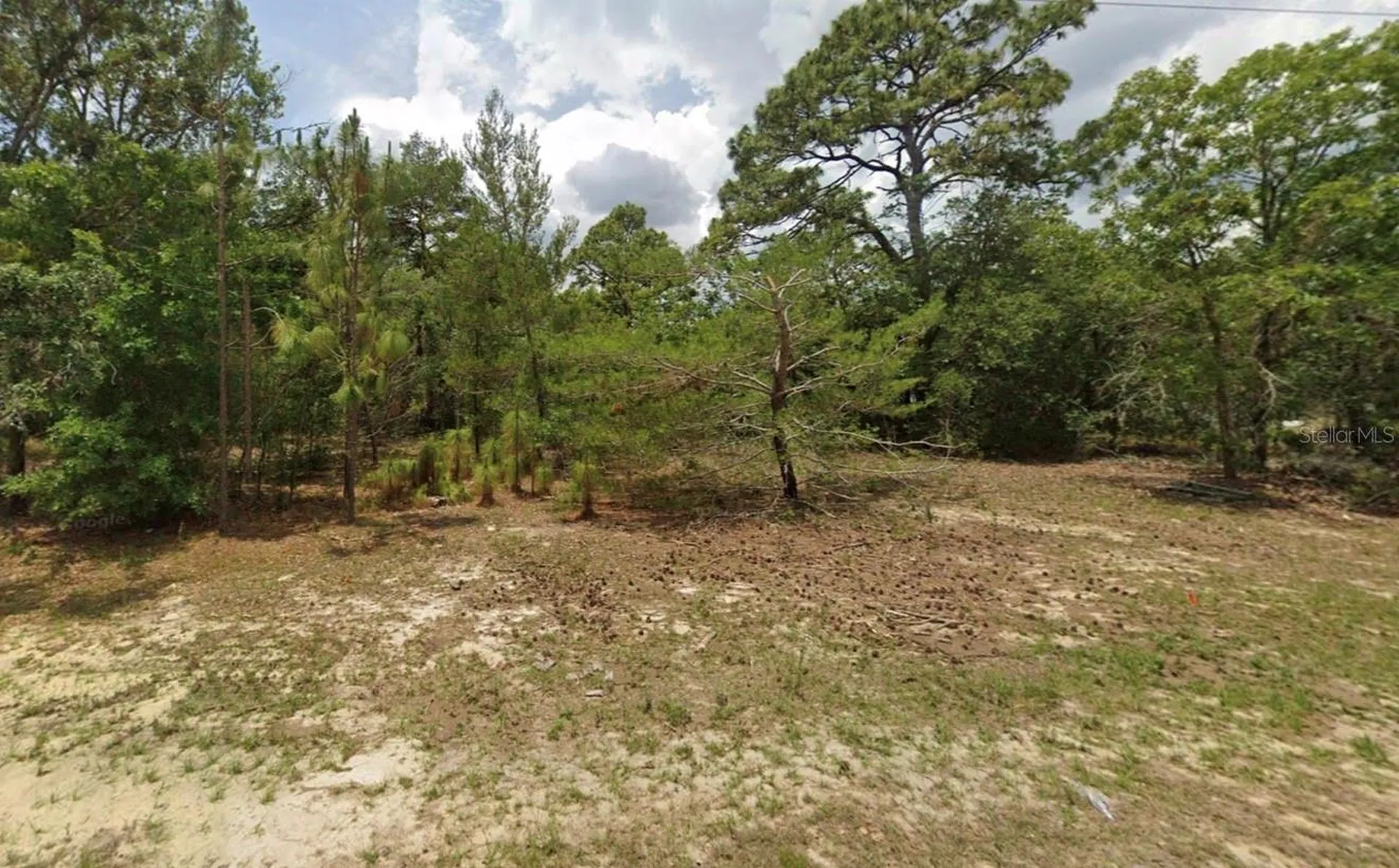 14214 SW 60th Terrace Ocala FL 34473