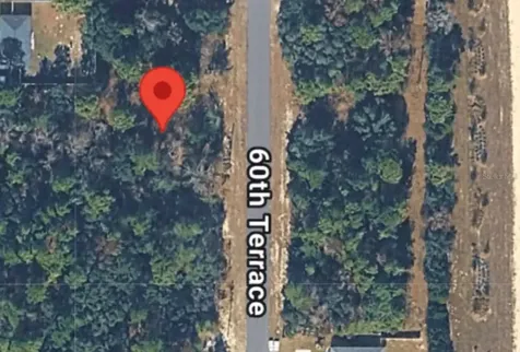 14214 SW 60th Terrace Ocala FL 34473