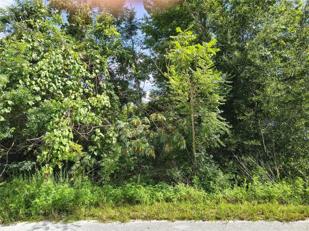 Tbd NW 6th Place Ocala FL 34482