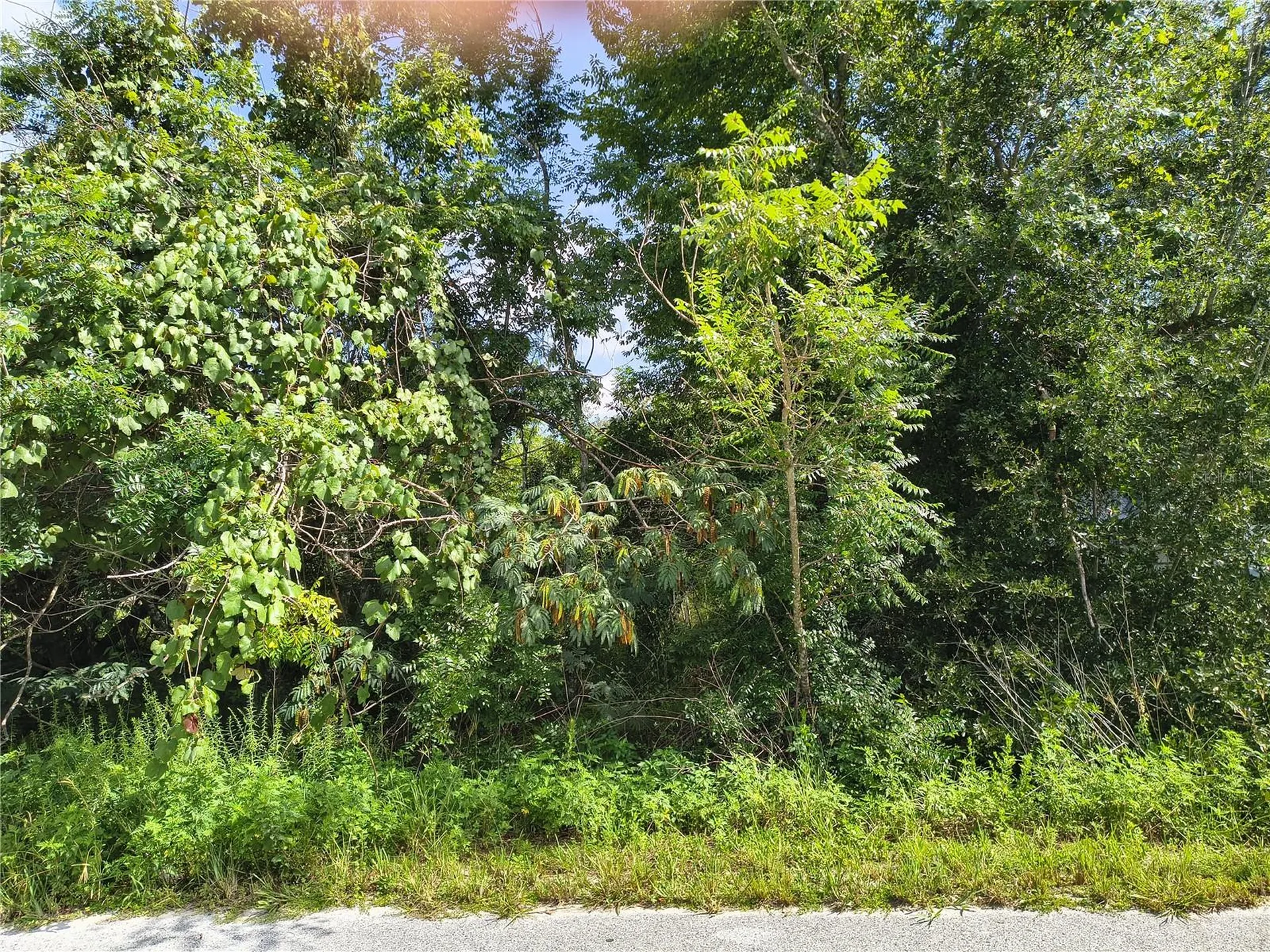 Tbd NW 6th Place Ocala FL 34482