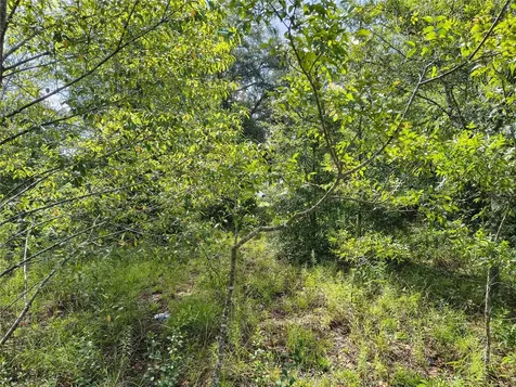 Tbd NW 6th Place Ocala FL 34482