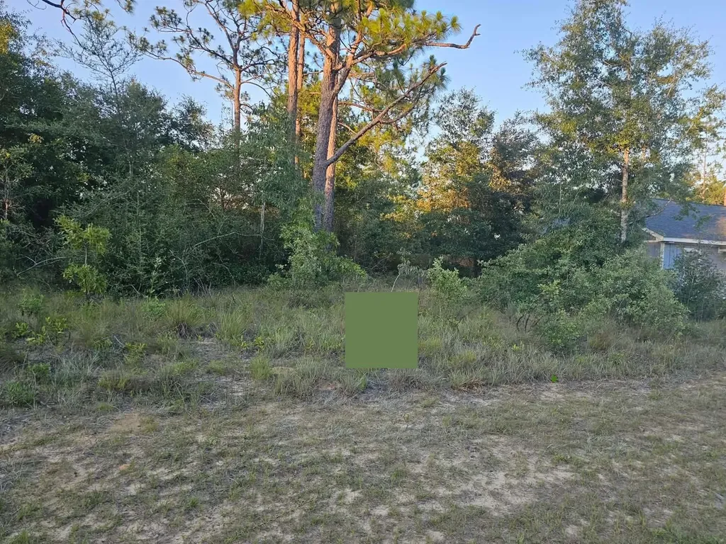 Lot 12 Shenandoah Boulevard Chipley FL 32428