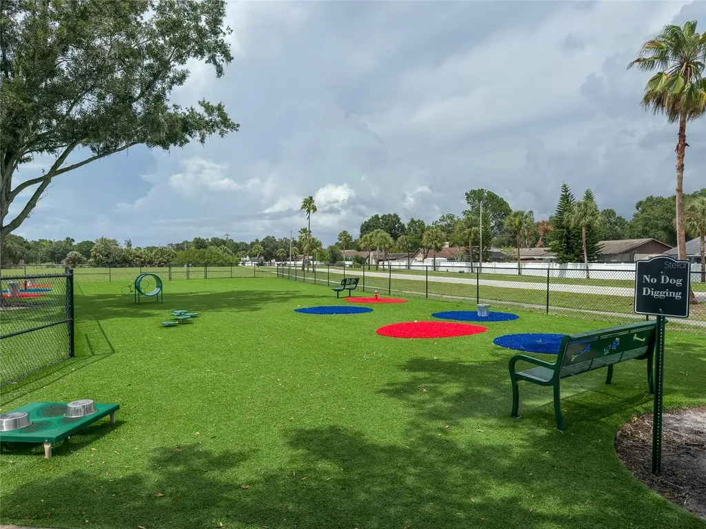 12917 Jessup Watch Place Riverview FL 33579