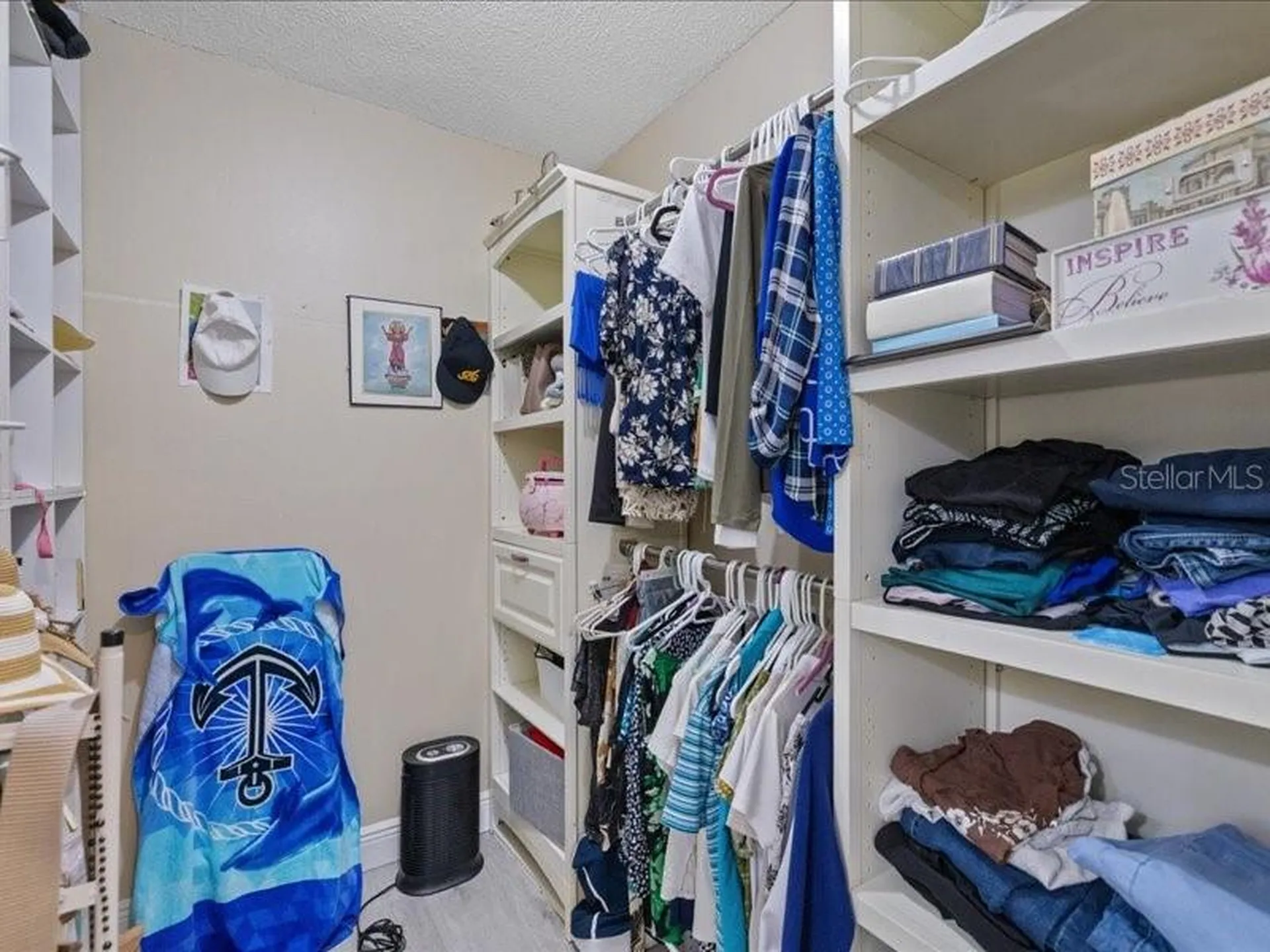 10903 Landon Lane Tampa FL 33635