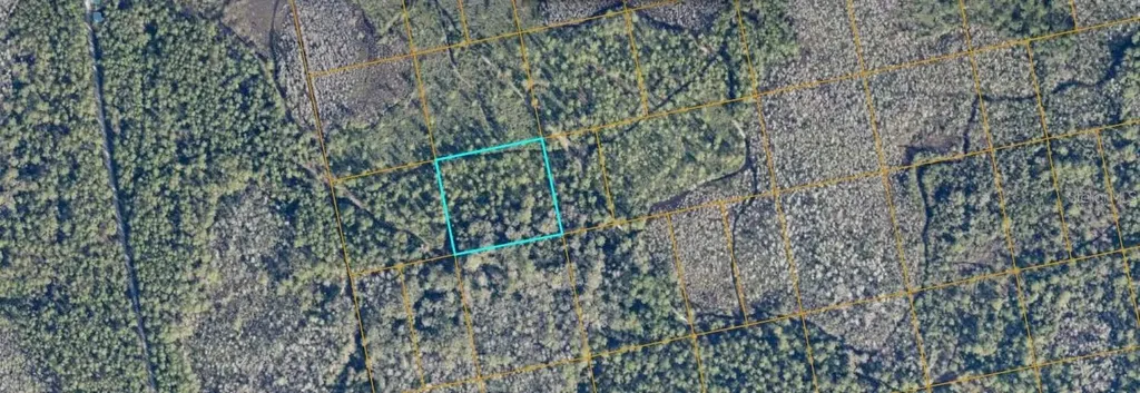 Unimproved Oak Hill FL 32759
