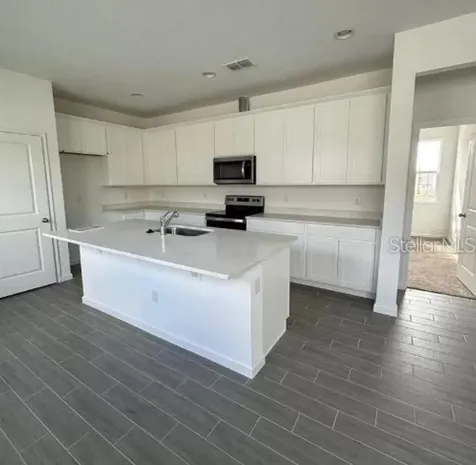 4350 Davos Drive Clermont FL 34711