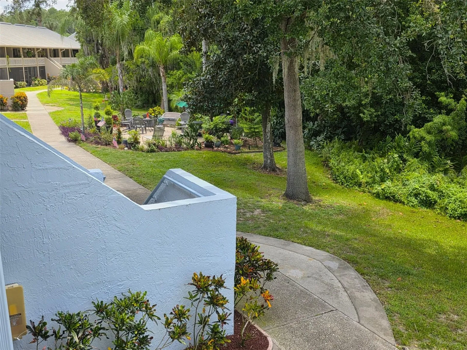 1955 Abrico Drive Lutz FL 33558