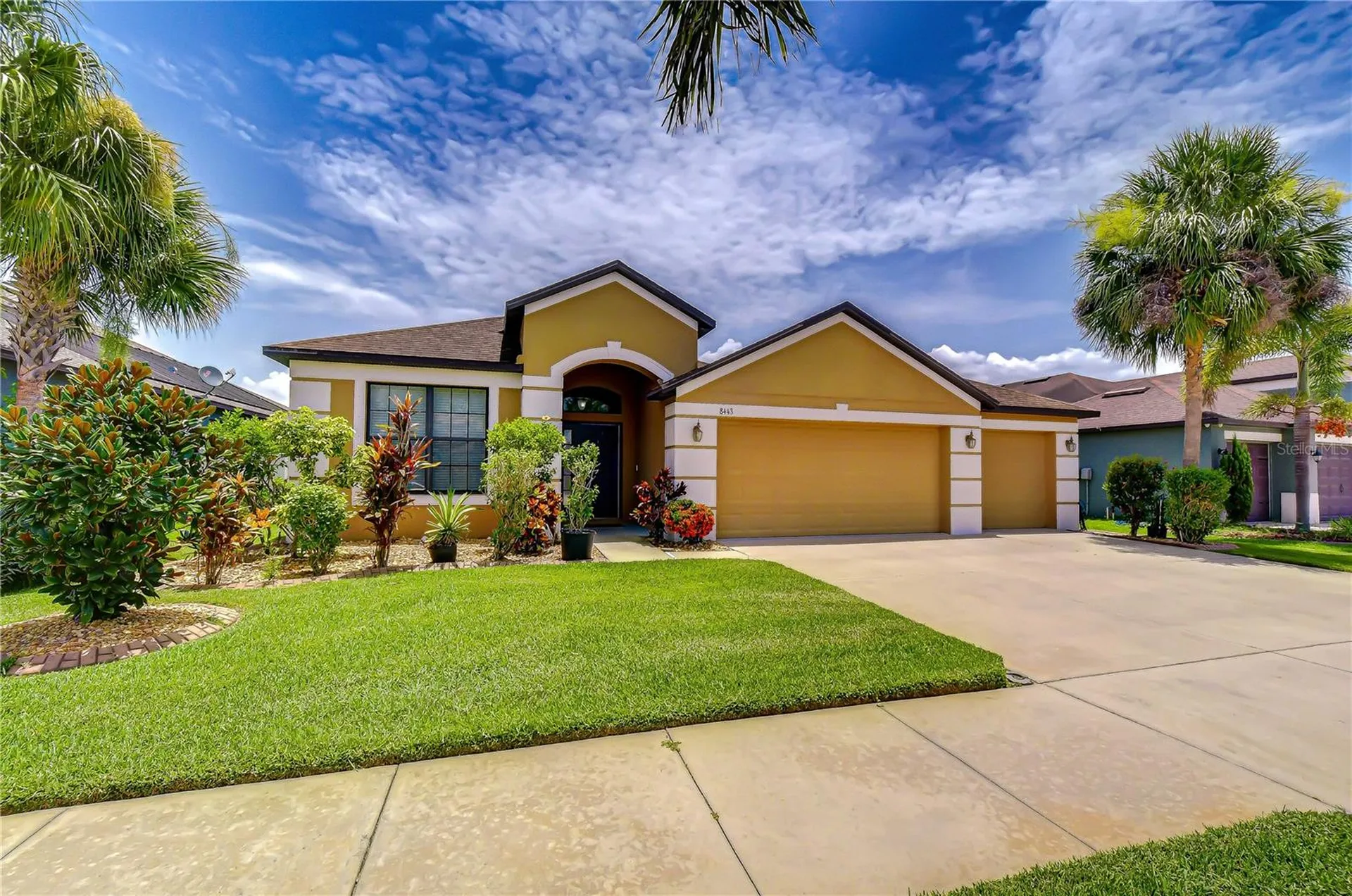 8443 White Poplar Drive Riverview FL 33578