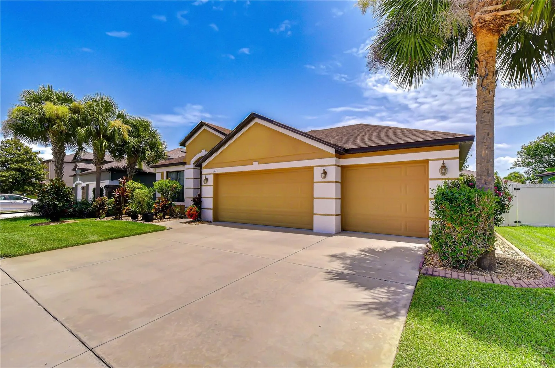 8443 White Poplar Drive Riverview FL 33578
