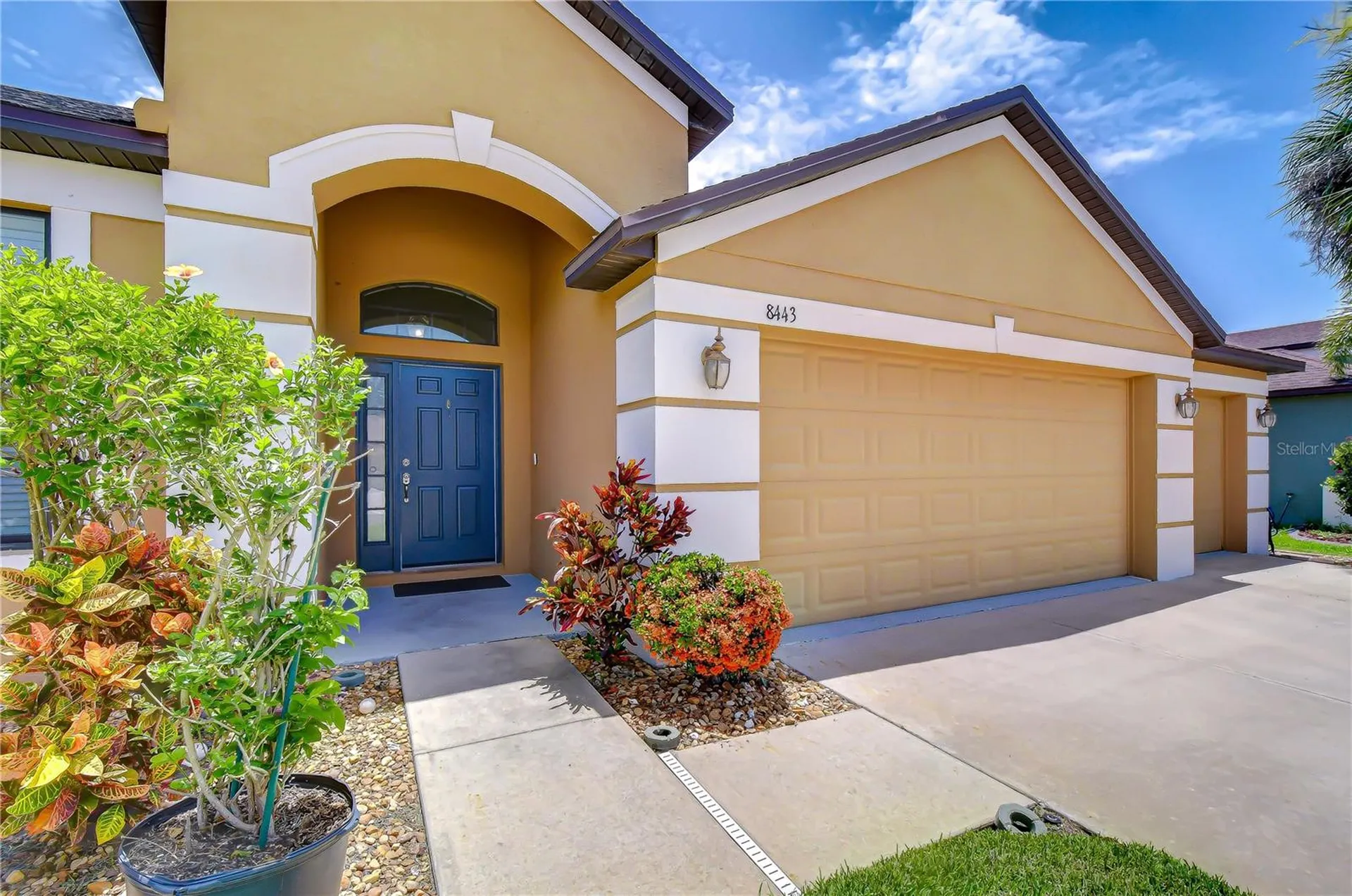 8443 White Poplar Drive Riverview FL 33578