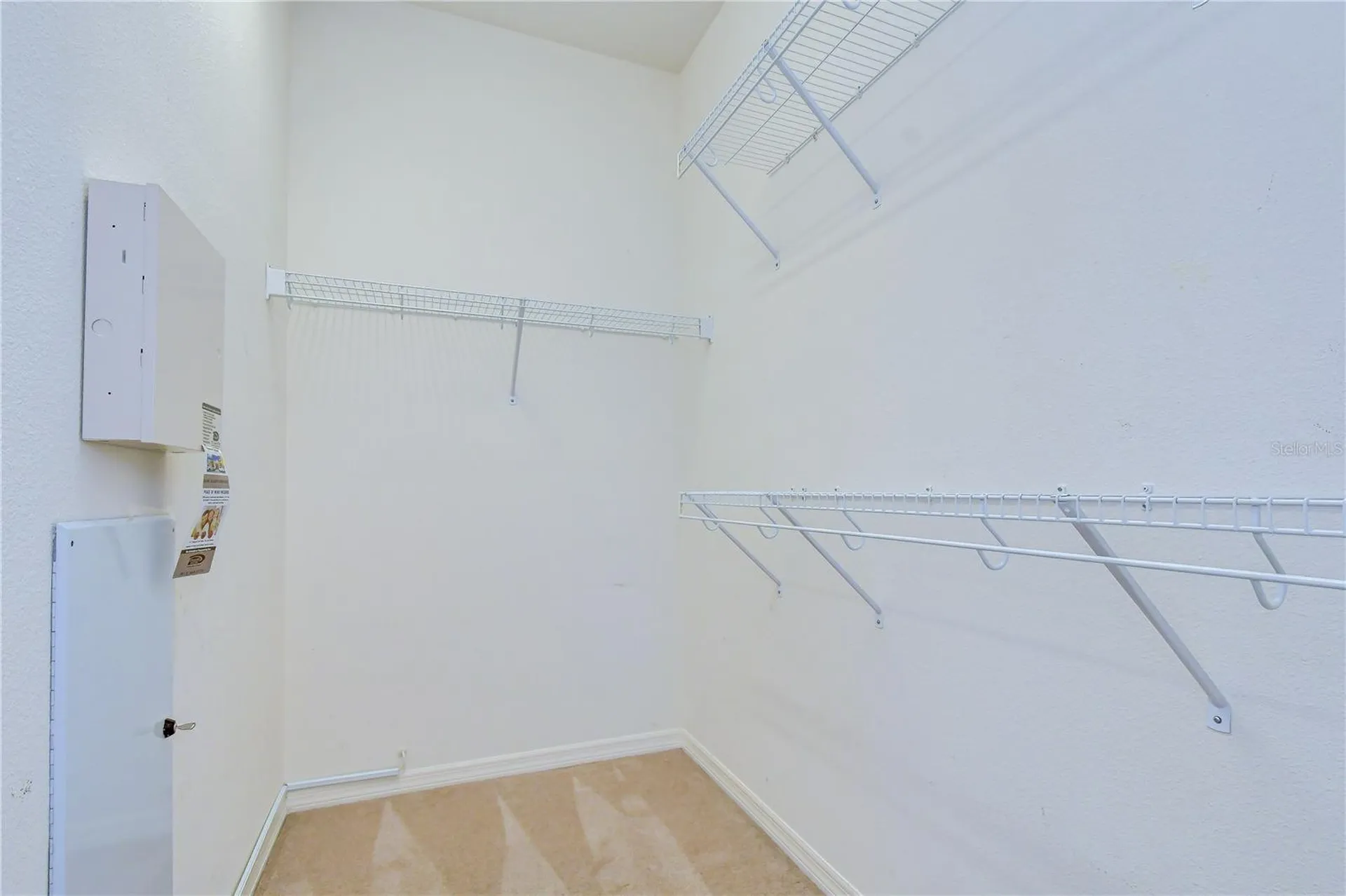 8443 White Poplar Drive Riverview FL 33578