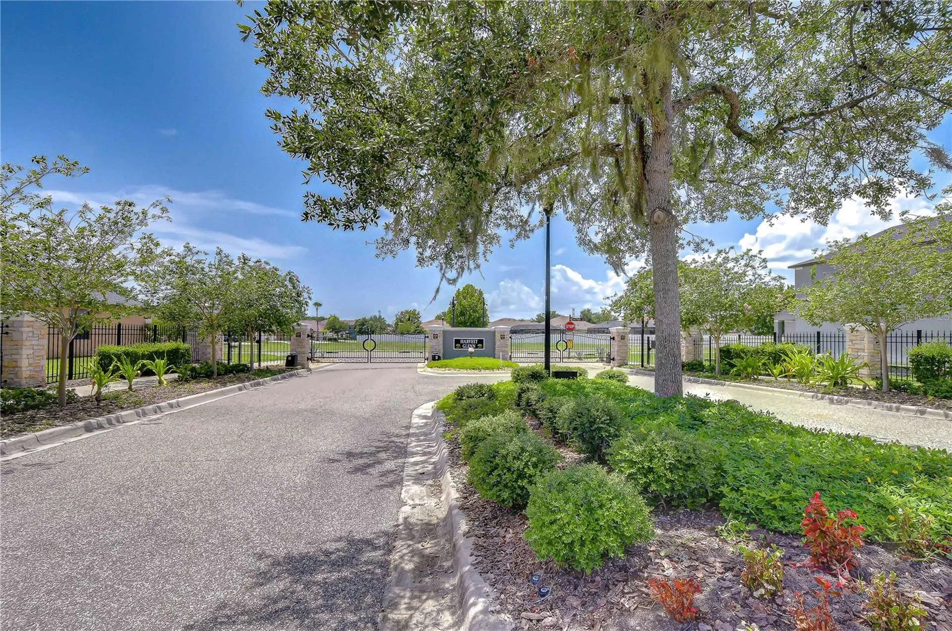 8443 White Poplar Drive Riverview FL 33578