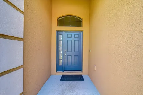 8443 White Poplar Drive Riverview FL 33578