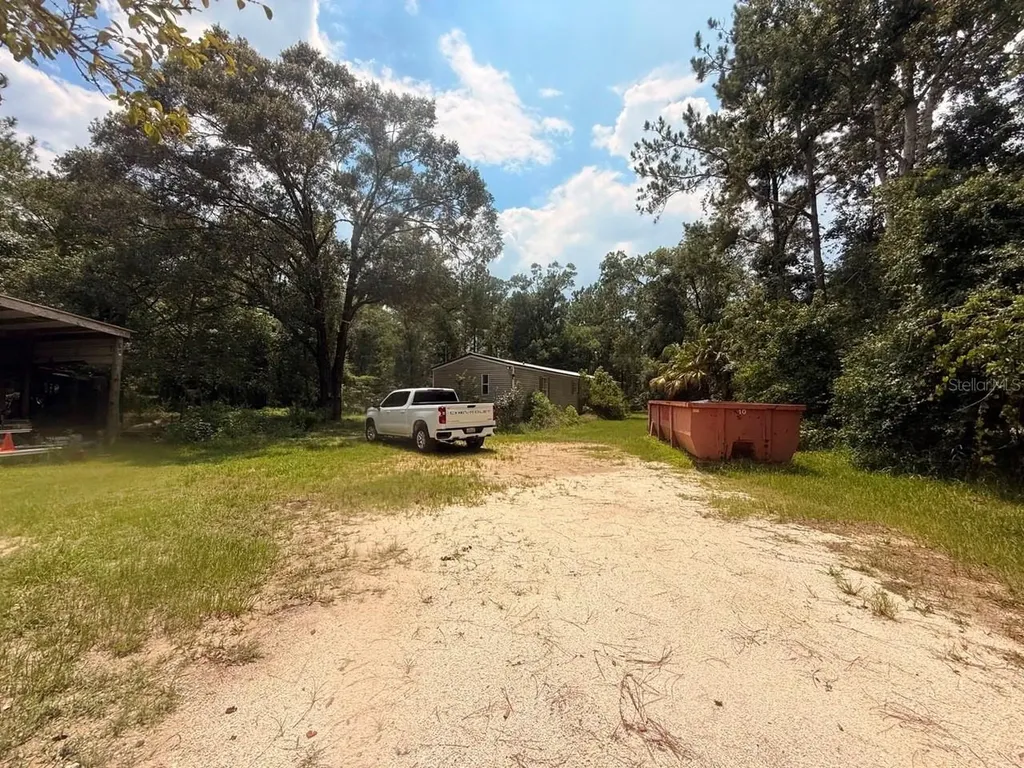 10105 Mcmahon Avenue Hastings FL 32145