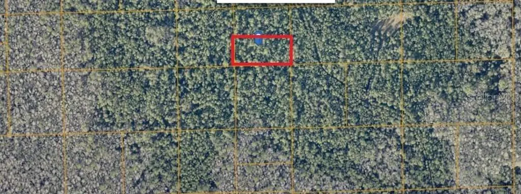 Unimproved De Leon Springs FL 32130