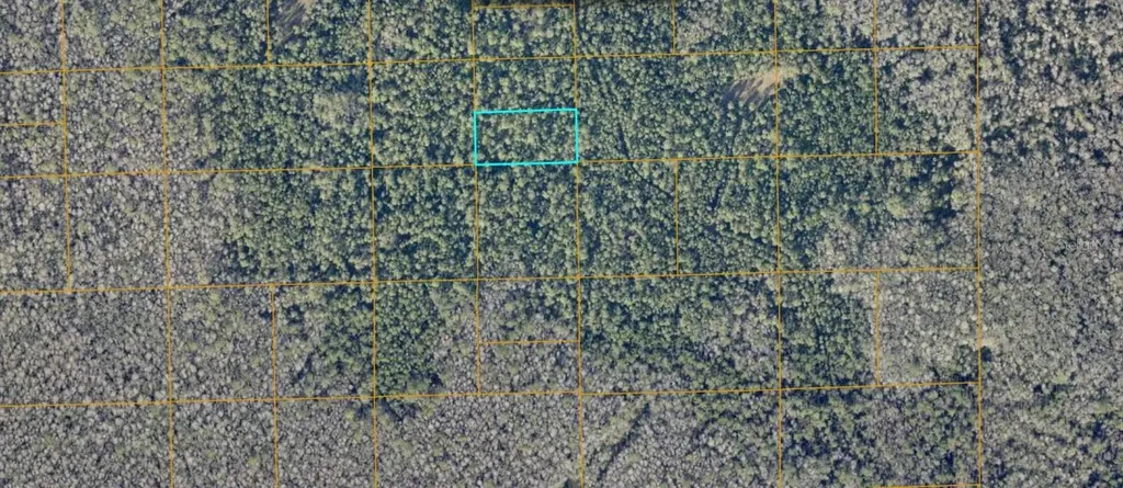 Unimproved De Leon Springs FL 32130