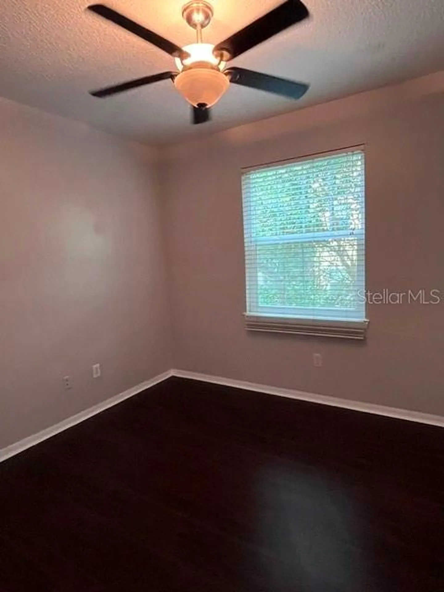 1810 E Palm Avenue Tampa FL 33605