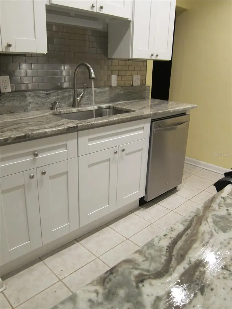 3925 W Bay View Avenue Tampa FL 33611